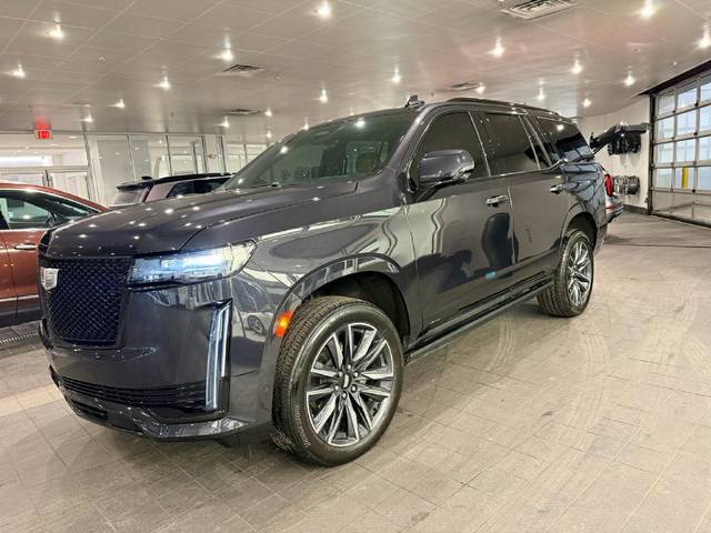 2023 Cadillac Escalade 4WD Sport 4WD photo
