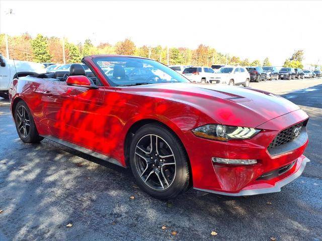 2020 Ford Mustang EcoBoost Premium RWD photo