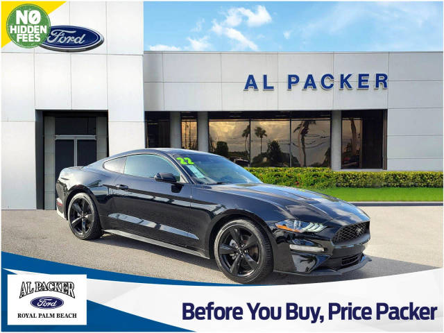 2022 Ford Mustang EcoBoost RWD photo