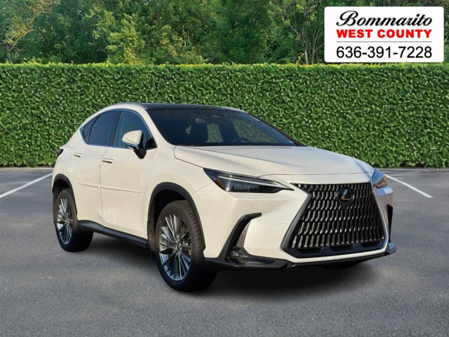 2022 Lexus NX NX 350h Luxury AWD photo