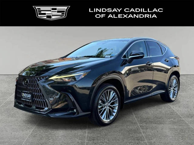 2022 Lexus NX NX 350h Luxury AWD photo