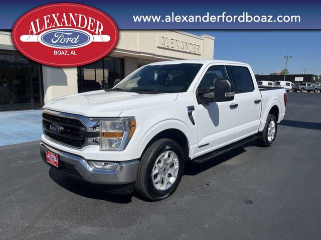 2022 Ford F-150 XLT RWD photo