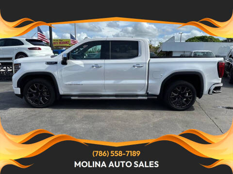 2022 GMC Sierra 1500 Denali 4WD photo