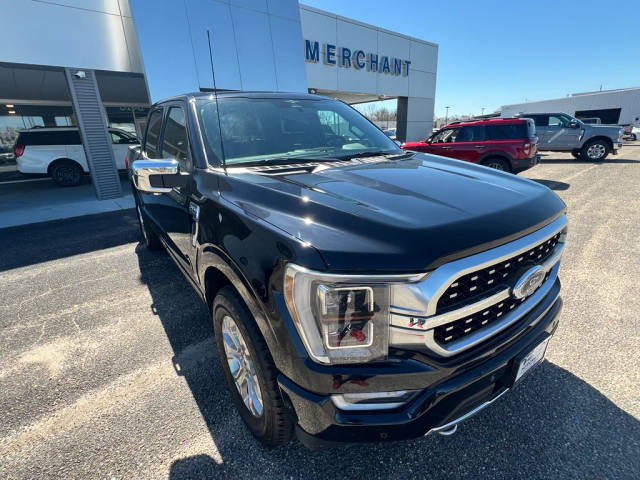 2023 Ford F-150 Platinum 4WD photo