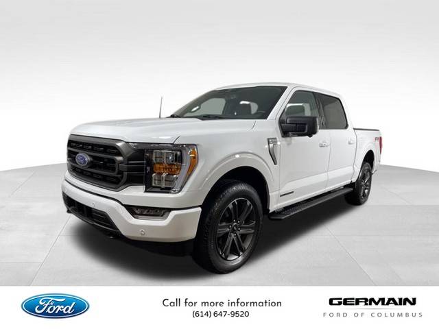 2023 Ford F-150 XLT 4WD photo