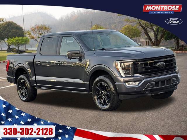 2022 Ford F-150 Platinum 4WD photo