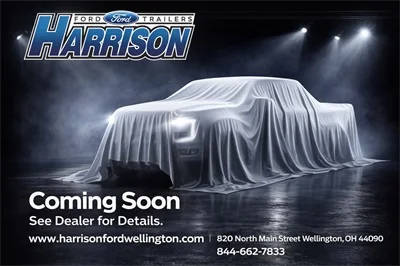 2023 Ford F-150 XL 4WD photo