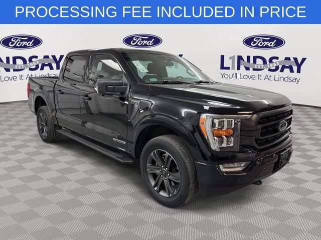 2023 Ford F-150 XLT 4WD photo
