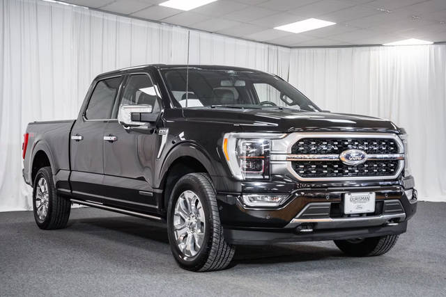 2022 Ford F-150 Platinum 4WD photo