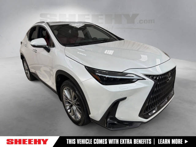 2023 Lexus NX NX 350 Luxury AWD photo