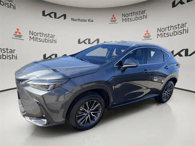 2023 Lexus NX NX 250 Premium FWD photo
