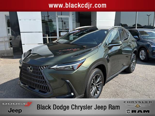 2022 Lexus NX NX 350 Premium AWD photo