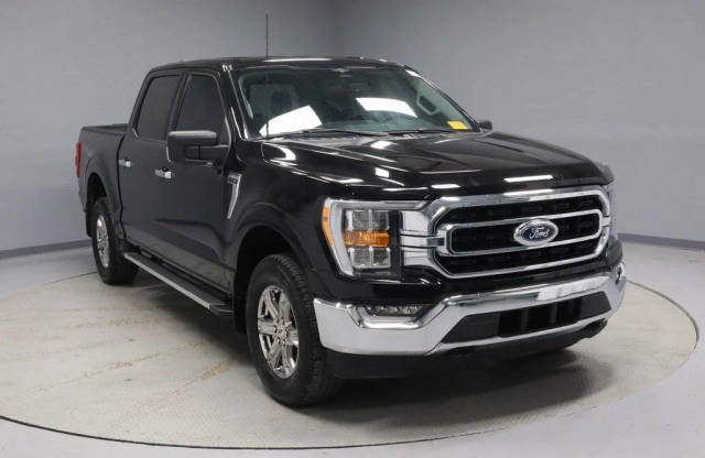 2023 Ford F-150 XLT 4WD photo