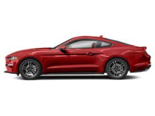 2022 Ford Mustang EcoBoost RWD photo