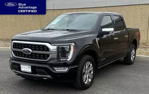 2022 Ford F-250 Super Duty Platinum 4WD photo