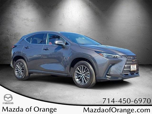 2023 Lexus NX NX 250 AWD photo
