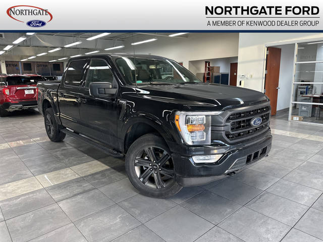 2023 Ford F-150 XLT 4WD photo