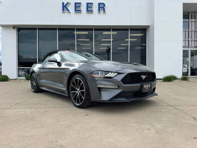 2022 Ford  EcoBoost Premium RWD photo