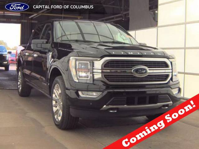 2023 Ford F-150 Limited 4WD photo