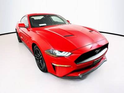 2023 Ford Mustang EcoBoost RWD photo