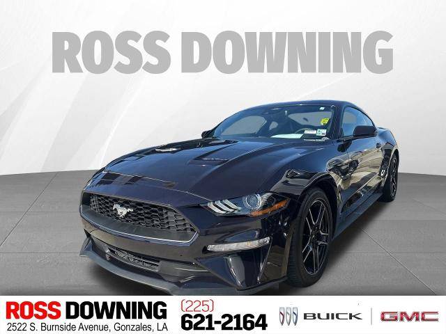 2023 Ford Mustang EcoBoost Premium RWD photo