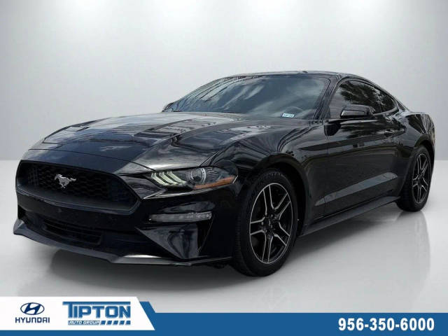 2023 Ford Mustang EcoBoost RWD photo