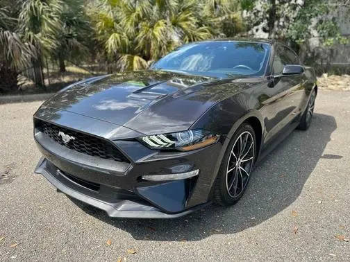 2022 Ford Mustang EcoBoost RWD photo