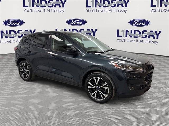 2022 Ford Escape SE FWD photo