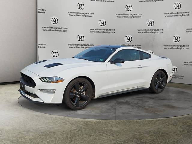 2023 Ford Mustang EcoBoost RWD photo