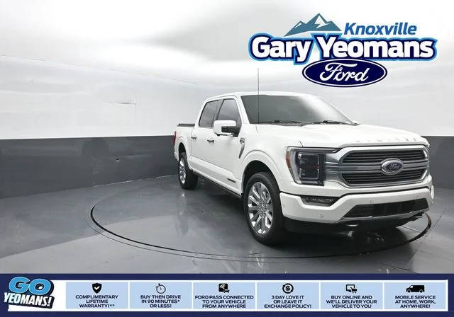 2023 Ford F-150 Limited 4WD photo