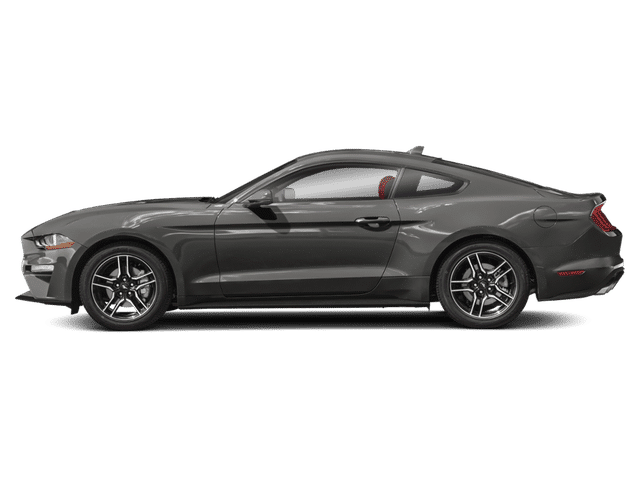 2022 Ford Mustang EcoBoost RWD photo