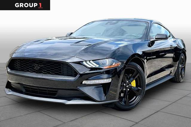 2023 Ford Mustang EcoBoost RWD photo