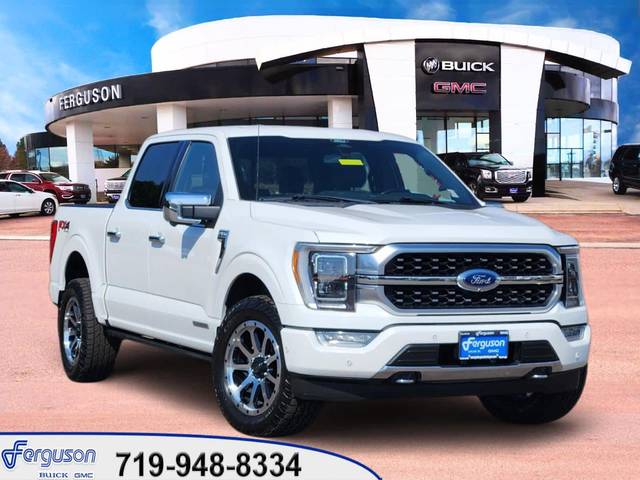 2022 Ford F-150 Platinum 4WD photo