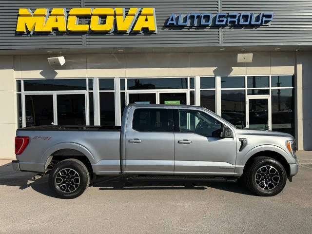 2023 Ford F-150 XLT 4WD photo
