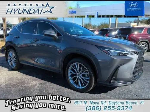 2023 Lexus NX NX 350 Premium AWD photo