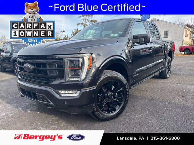 2022 Ford F-150 Platinum 4WD photo