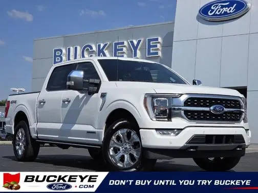 2022 Ford F-150 Platinum 4WD photo