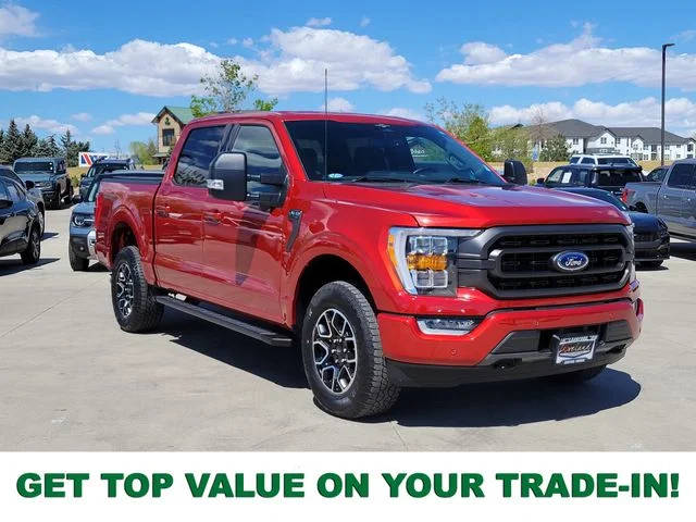 2023 Ford F-150 XLT 4WD photo