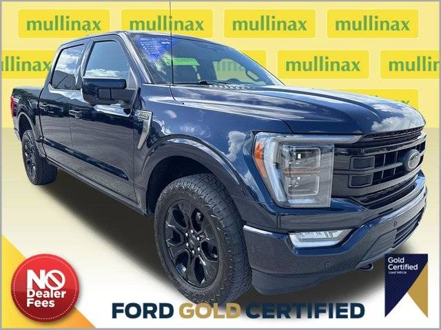 2022 Ford F-150 Platinum 4WD photo