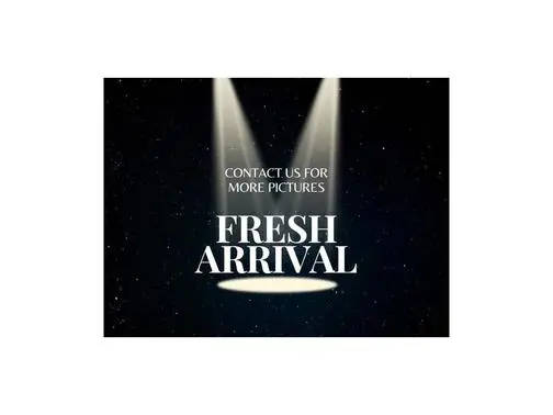 2023 Subaru Ascent Premium AWD photo