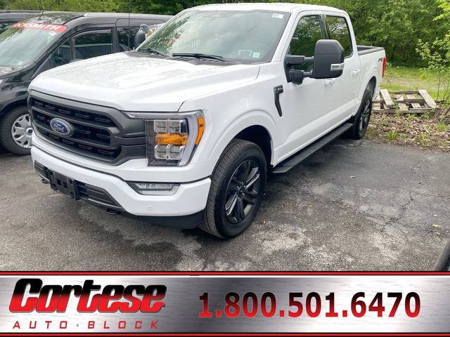 2023 Ford F-150 XLT 4WD photo