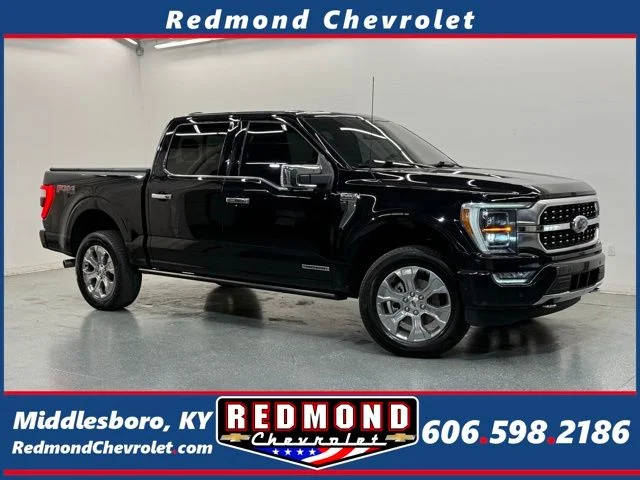 2023 Ford F-150 Platinum 4WD photo