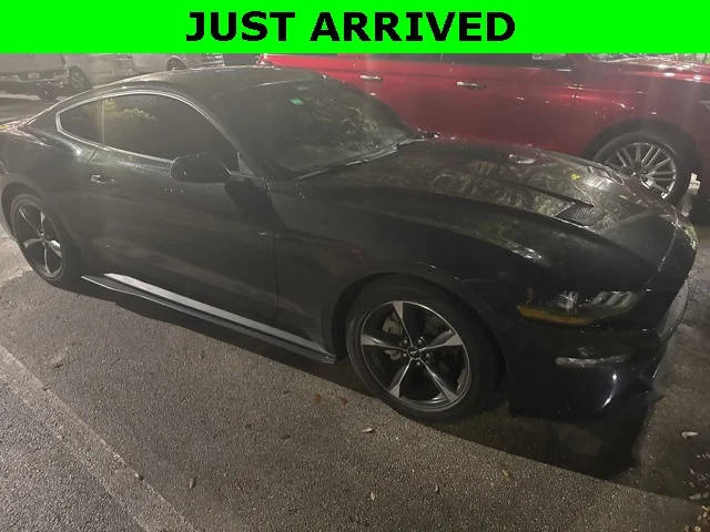 2023 Ford Mustang EcoBoost RWD photo