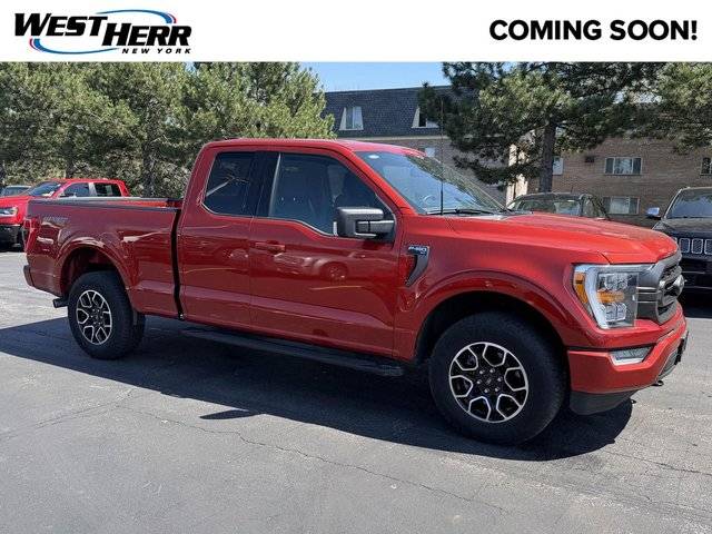 2023 Ford F-150 XLT 4WD photo