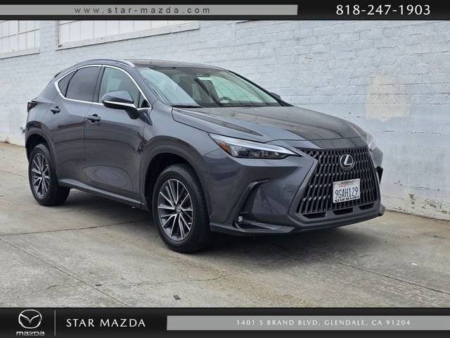 2023 Lexus NX NX 350 AWD photo