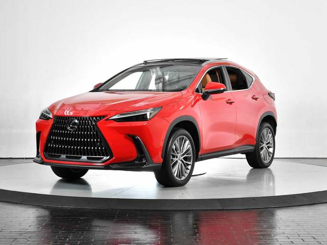 2023 Lexus NX NX 350h Luxury AWD photo
