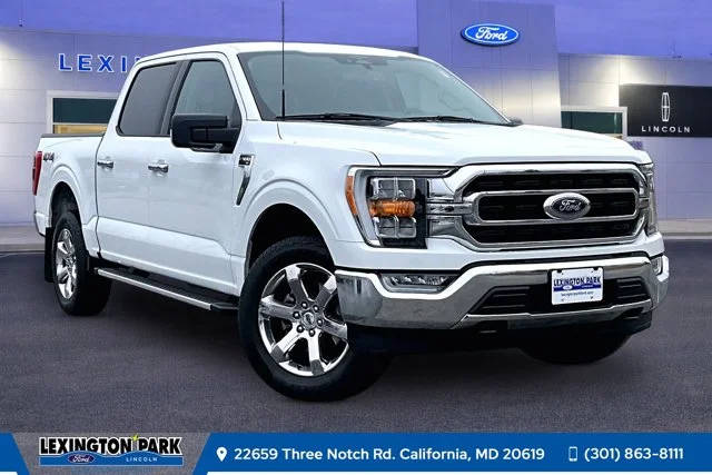 2023 Ford F-150 XLT 4WD photo
