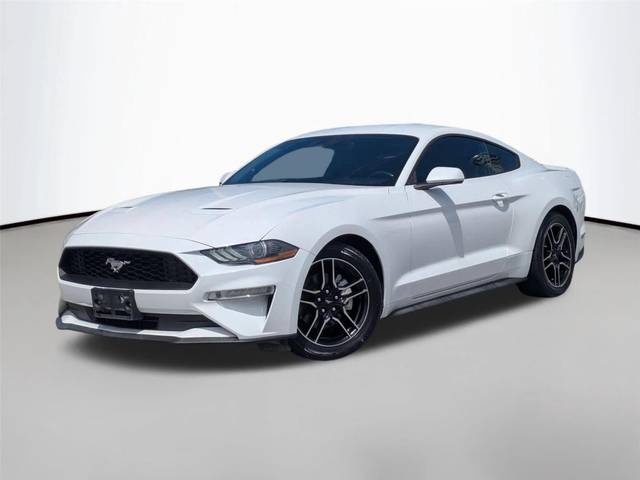 2021 Ford Mustang EcoBoost RWD photo
