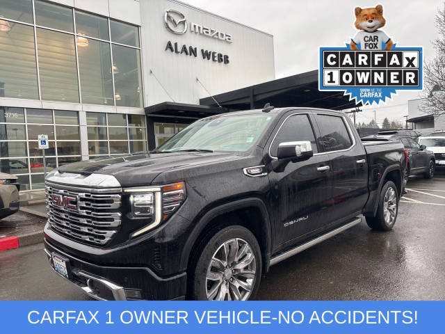 2023 GMC Sierra 1500 Denali 4WD photo