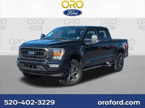 2023 Ford F-150 XLT 4WD photo